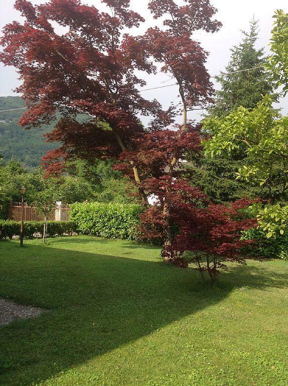 Villa Degli Aceri Sorico Dış mekan fotoğraf